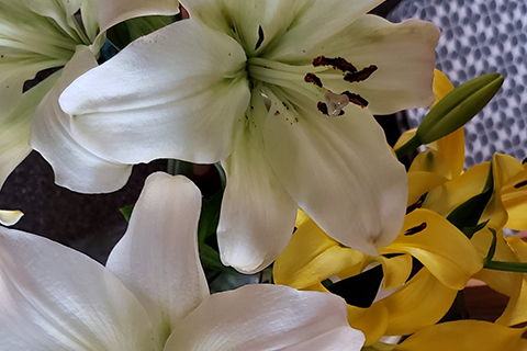 Home_page_news_happy_easter_april_21_2019