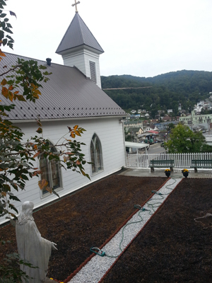 Appalachian_restoration_1